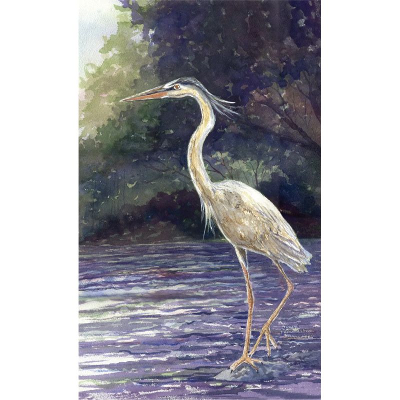 Heron on the Neuse River - Giclée Print